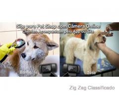 Site para Pet Shop com Câmera Online via App e Site