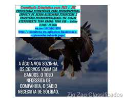 Consultoria para Estrangeiros Brasileiros