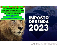 Sanfer Assessoria- Contador, IRPF2023/2024