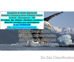 Goiania Propaganda Digital e Desenvolvimento de Sites