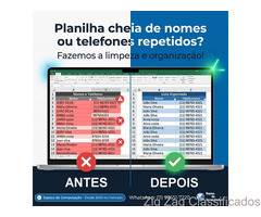 Está com uma planilha cheia de nomes ou telefones repetidos? Fazemos a limpeza e organização